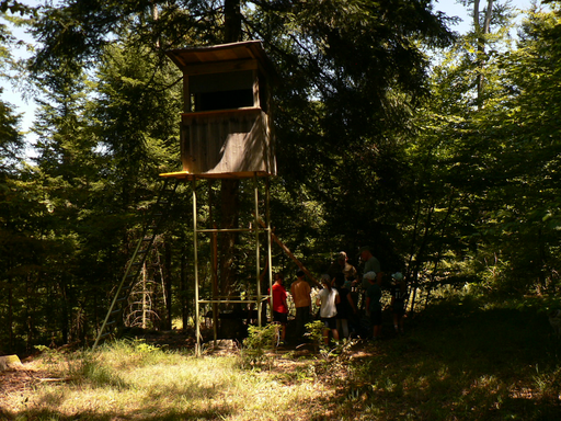 Hochsitz